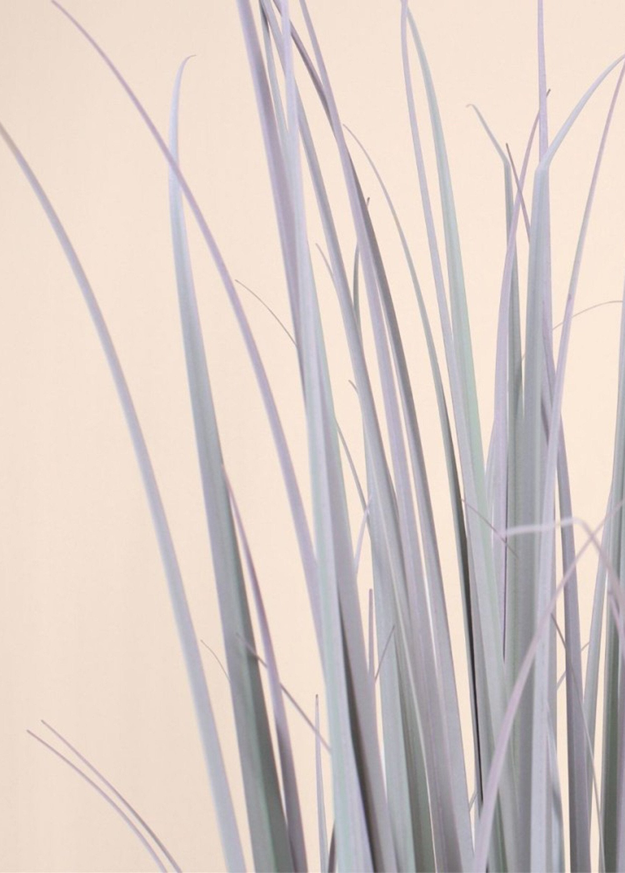 Planta_artificial_de_Phormium_en_forma_de_ramo._Verde_DE2_slim